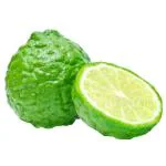 Makroot Fruit/Kaffir Lime Fruit 100 -150 g