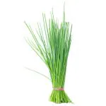Chives 10 g