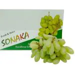 Sonaka Seedless Grapes (Pack) ( Approx 800 g - 950 g)