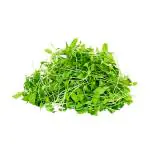 Microgreen Mustard 50 g (Pack)
