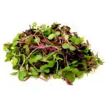 Microgreens Mix 50 g (Pack)