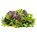 Trikaya Lettuce Mix 500 g