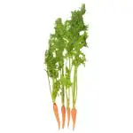 Trikaya Baby Carrot 100 g