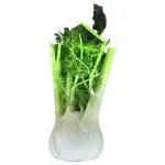 Trikaya Fennel 200 g