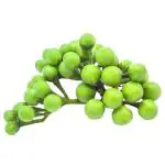 Trikaya Thai Brinjal 100 g