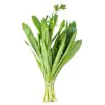 Trikaya Thai Coriander 10 g