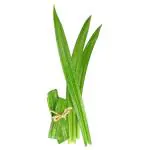 Trikaya Pandanus Leaves 10 g