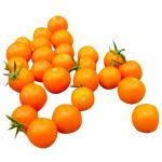 Trikaya Sungold Tomato 250 g