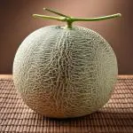 Musk Melon Big (Approx. 1750 g-2500 g)