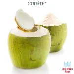 Coconut Tender Premium Indian 3 Pc