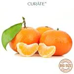 Curate Mini Orange Mandarin Premium Imported 4 pcs