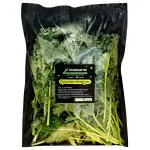 Trueganic American Curly Kale (Approx 120 g - 200 g)