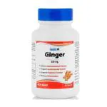 HealthVit Ginger 250 mg Capsule 60's