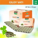 Swadeshi Giloy Vati Tablet 120's