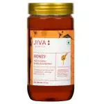 Jiva Ayurveda Honey 500 gm
