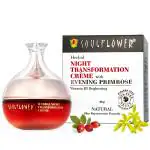 Soulflower Herbal Night Transformation Creme with Evening Primrose 60 gm
