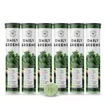 Wellbeing Nutrition Daily Greens Effervescent Tablet (Pack of 6 x 15's)