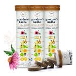 Wellbeing Nutrition Grandma's Kadha Ayurvedic Tea Effervescent Tablet (Pack of 4 x 15's)