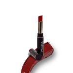 Incolor Long Lasting Lipstick 839 2.3 Gm