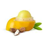 Organic Harvest Shea Butter Lip Balm 8 gm