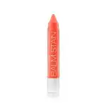 Wet N Wild Mega Slicks Balm Stain See If I Carrot! 3 gm