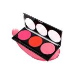 Miss Rose 3 Color Blusher Palette 7004 -006Y 02 20 gm