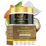 Spantra All Naturals oil in one hair Mask 250 gm