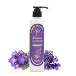 UXR Bath & Body Sensual Lavender Body Lotion 200 ml
