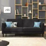 Urban Ladder Felicity Sofa Cum Bed (Colour : Graphite Grey)