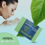 ZEBA & BEAUTY 100% NATURAL HERBAL NEEM SOAP ( Pack Of 3 )