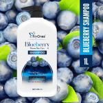 Tryones Blueberry Breeze Hair Care Shampoo Strengthens & Adds Shine For Long And Strong Hair (1000ml)