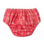 Apple Blossoms Polyester Arrow All Over Pant Style Diapers