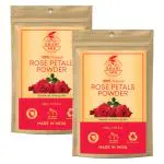 Khadi Ark Rose Petals Powder for Hair Problems (Pack of 2, 100 Gm Each) (200 g)