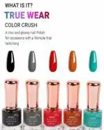 viomy Nail Paint Kit Combo of 5 Long-Lasting & Quick-Dry Nail Polish Shades (Pack of 5)
