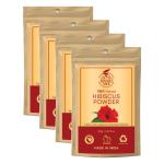 Khadi Ark Hibiscus Powder for Anti Dandruff, Itchy Scalp and (Pack of 4, 100 GM Each) (400 g)