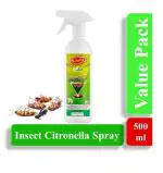 Shinelay Insect Citronella Spray for home 500 ml | Ant, Cockroach, Rat, Lizard, Bed Bugs, Spider ALL IN ONE Spray | 100% Natural | Easy to Use | Non Toxic 500ml