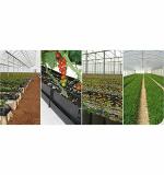 Bio Blooms Agro Gardening Soil Less Trough with Supporting Clips, 17 x 40 x 17 cm, 10 m