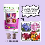 Farmgokart | CINERARIA-DWARF , PHLOX-STAR, DIANTHUS-DOUBLE , NEMESIA SEEDS| Pack of 4 Winter Season Flower Seeds | (FC-35)