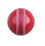 S4S Sports 4 Piece Genuine Leather Cricket Ball Cricket Leather Ball