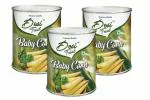 Desi Treat Fresh Baby Corn 800g x Pack of 3