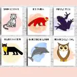 Ekdali Multicolor Paper Indian Animals Poster for Kids 6 x 8 Inch (Pack of 6)