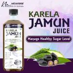 Metaverse Herbals Karela Jamun Juice Blood Sugar Control Prediabetics & diabetics No Added Sugar