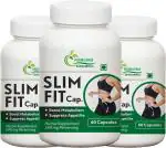 Prirupam SLIM FIT FAT LOSS AYURVEDA CAPSULES -60*3 (Pack of 3)