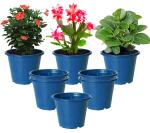 Kuber Industries Plastic Planters|Gamla|Flower Pots for Garden Nursery Home Décor,8