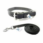 THE DDS STORE Pet Dog Leash Collar Set Training Lead 10.FT Long Rope Cotton Nylon Webbing Recall Obedience Line Leash for Pet Best for Small to Medium Breed Dogs (10.Feet Leash & Collar 0.75 inch, Black).