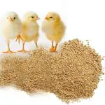 Bio Blooms Agro India Private Limited Chicken Feeds for Small Chicks, Ducks, Turkey, Silkie, Bantam, Guinea Fowls (1 kg)