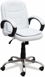 Office Chair for Computer Work & Study Chair for Leather Chair Mid Back Executive Office Chair