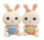 BYE DONT BYE Soft Fabric 50cm Candy Rabbit Soft Toy | Stuffed Plush Soft Toy for Boys and Girls | Rabbit Cute Plushie Soft Fluffly Cuddly Toy-01