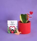 UGAOO Just For You Valentine Gift Combo (Heart Hoya Variegated Plant With Red Ceramic Pot, Acrylic Plant Message Pop, Customisable Message Card)