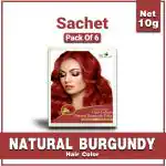 VEDICAYURVEDA Natural Burgundy Hair Color Pack Of 6
